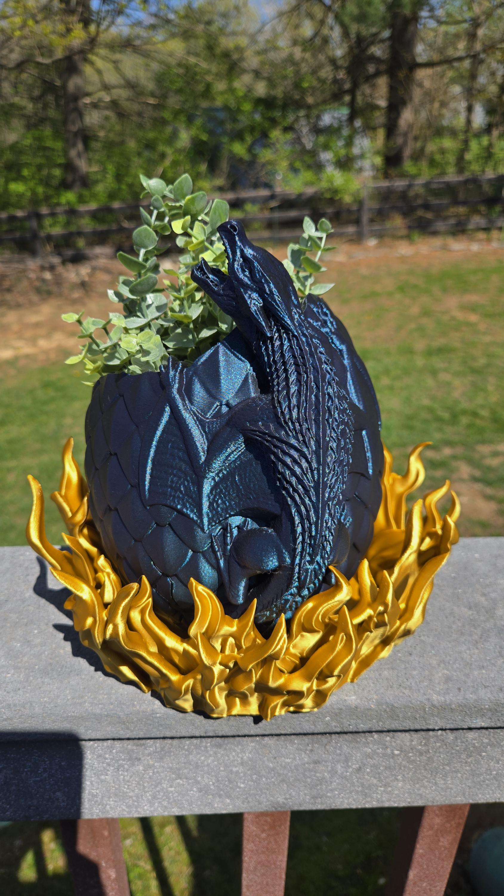 Dragon Hatching in Fire Planter with Drainage holes and watering hole