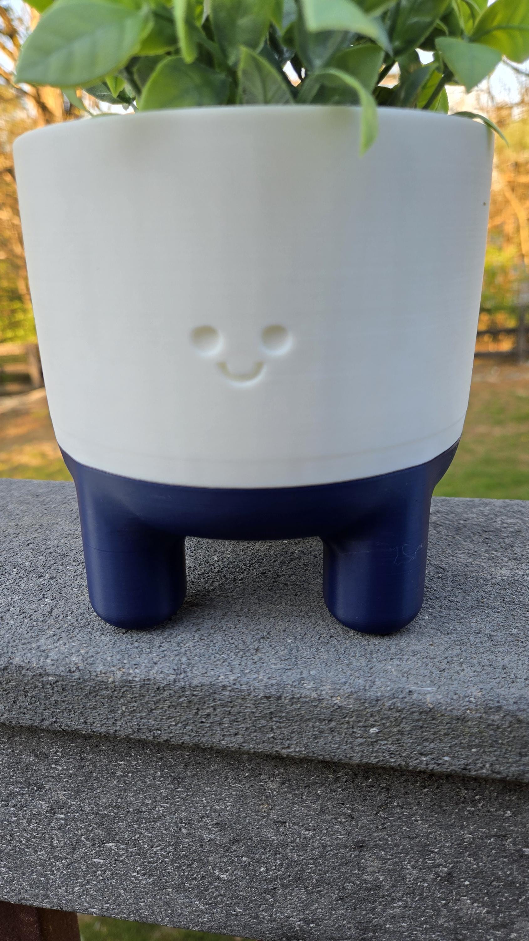 Happy "Melo" Planter with drainage