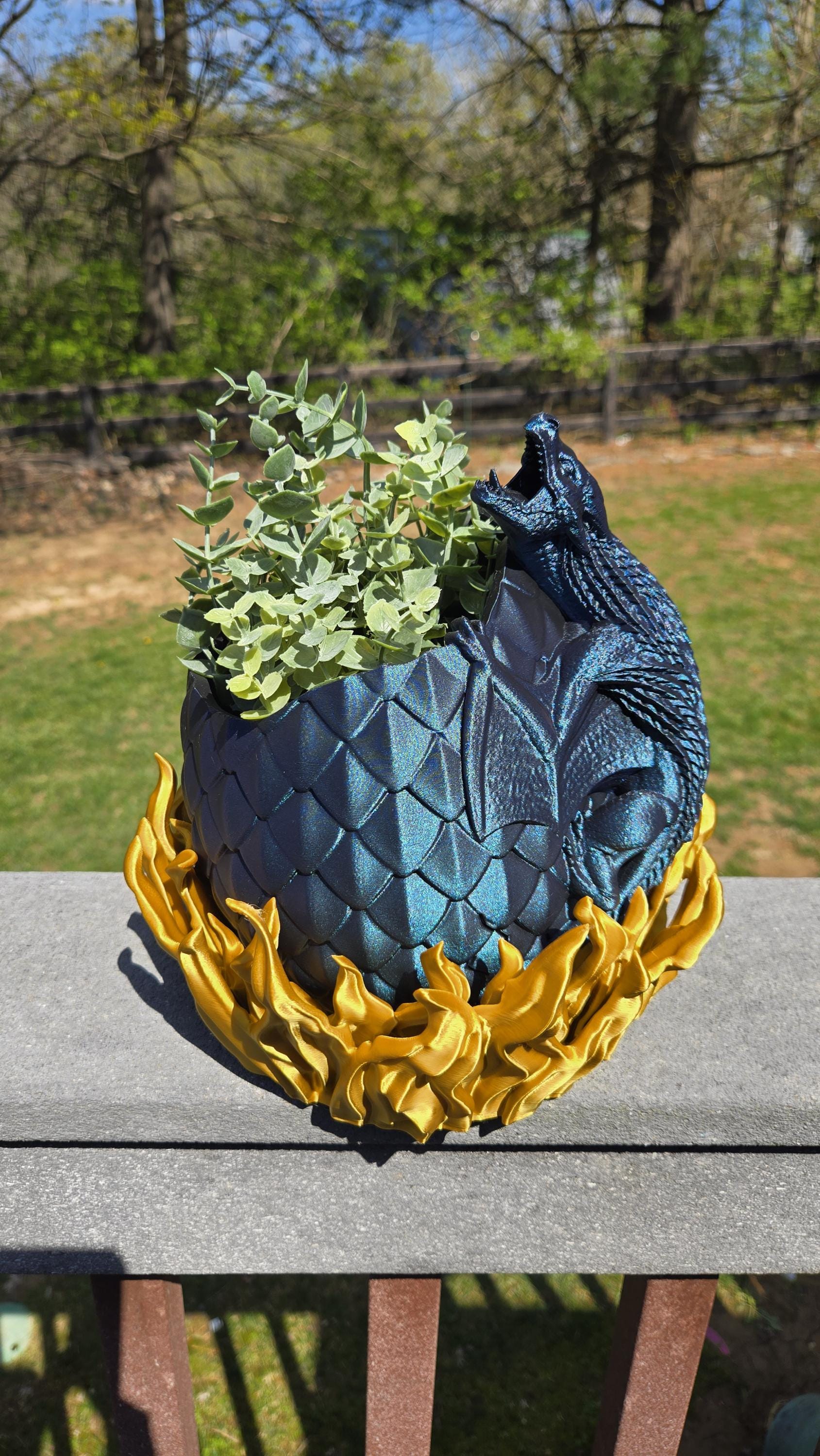 Dragon Hatching in Fire Planter with Drainage holes and watering hole