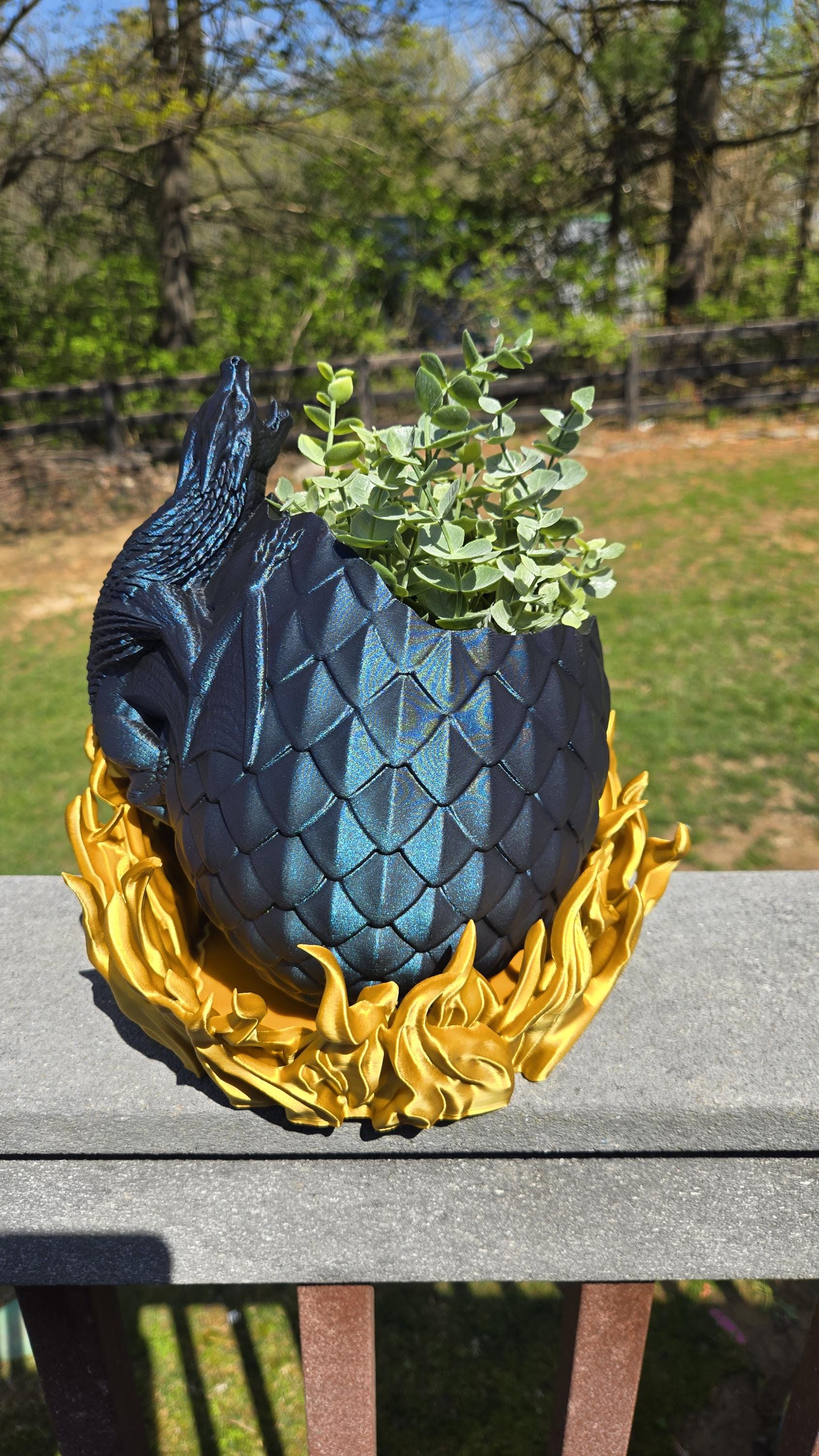 Dragon Hatching in Fire Planter with Drainage holes and watering hole