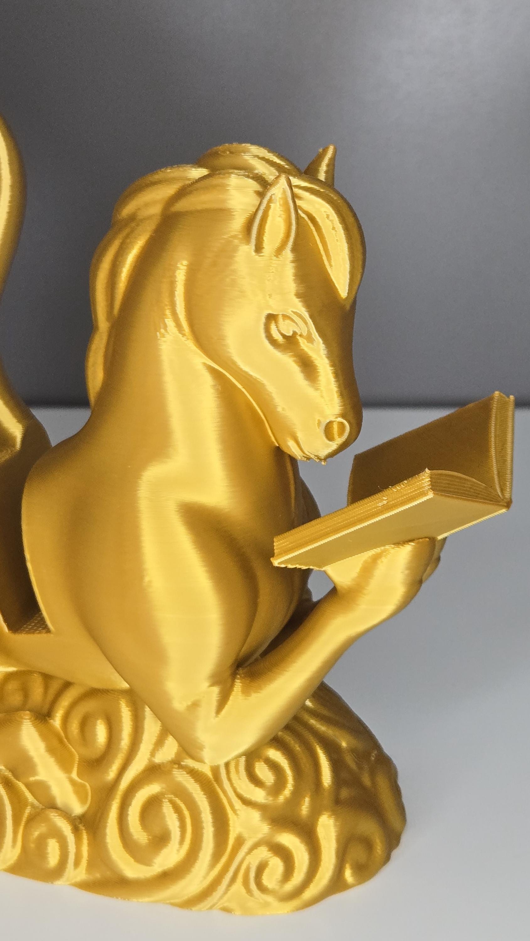 Pegasus Reading book or tablet display