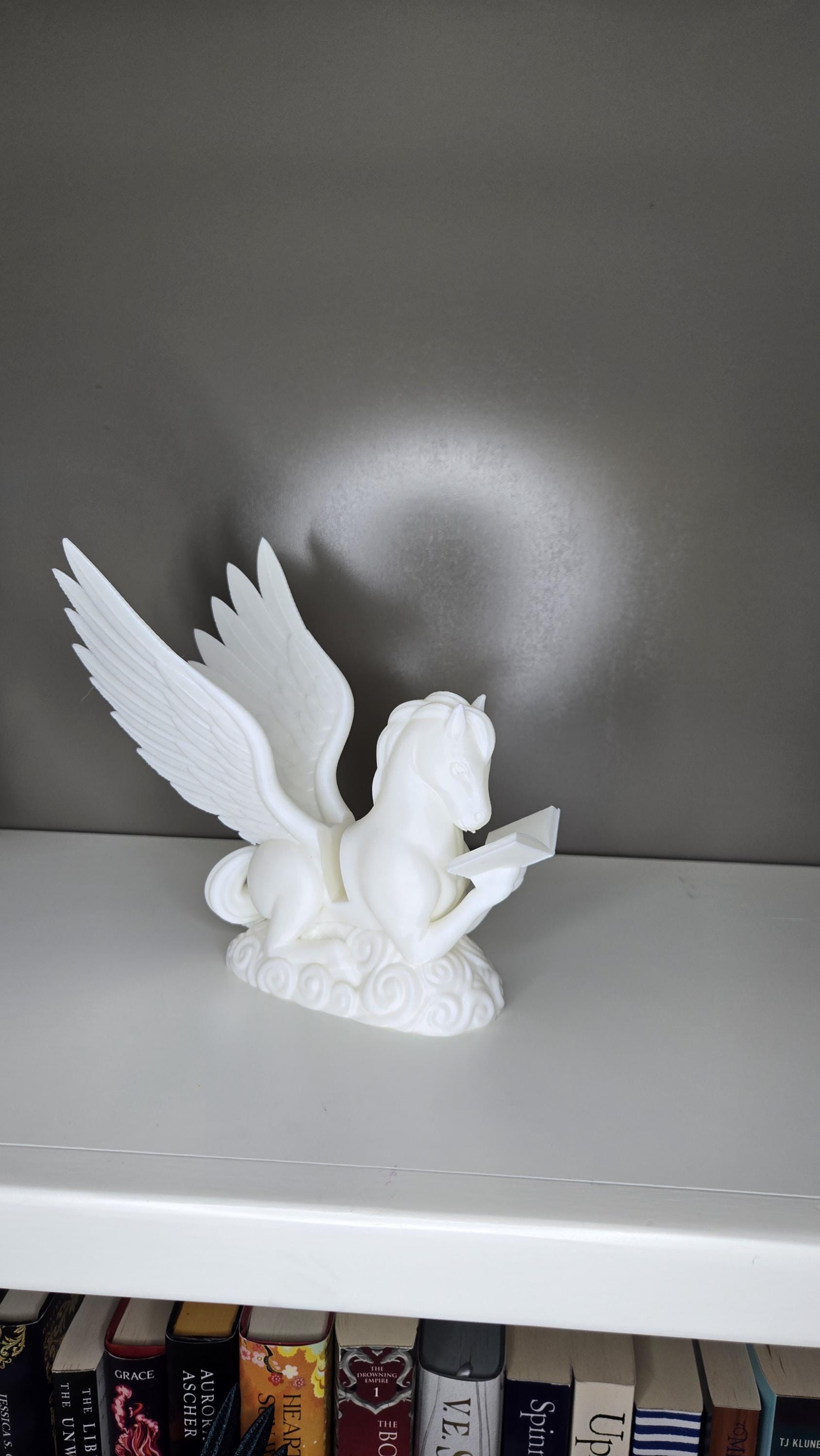 Pegasus Reading book or tablet display