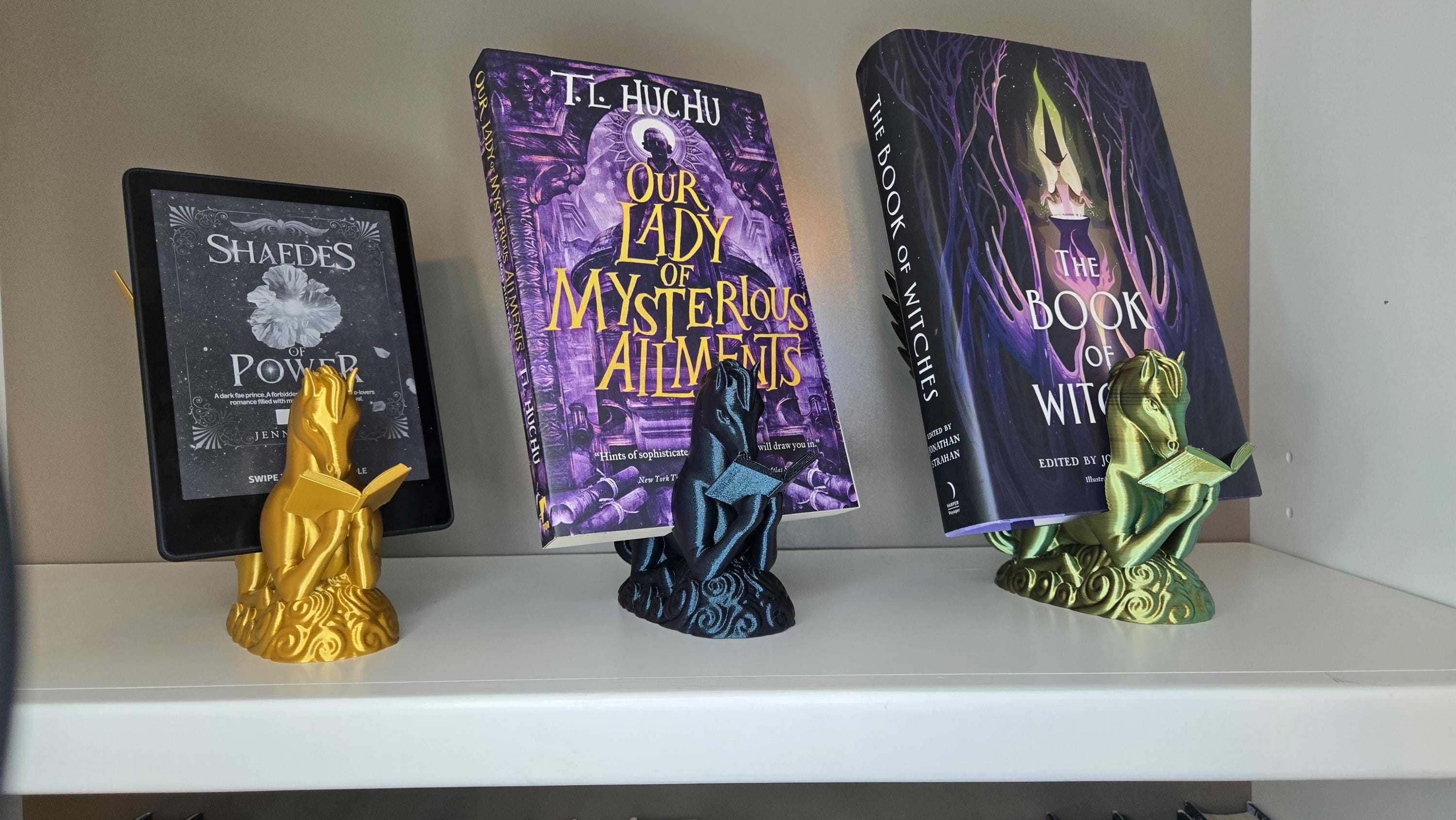 Pegasus Reading book or tablet display