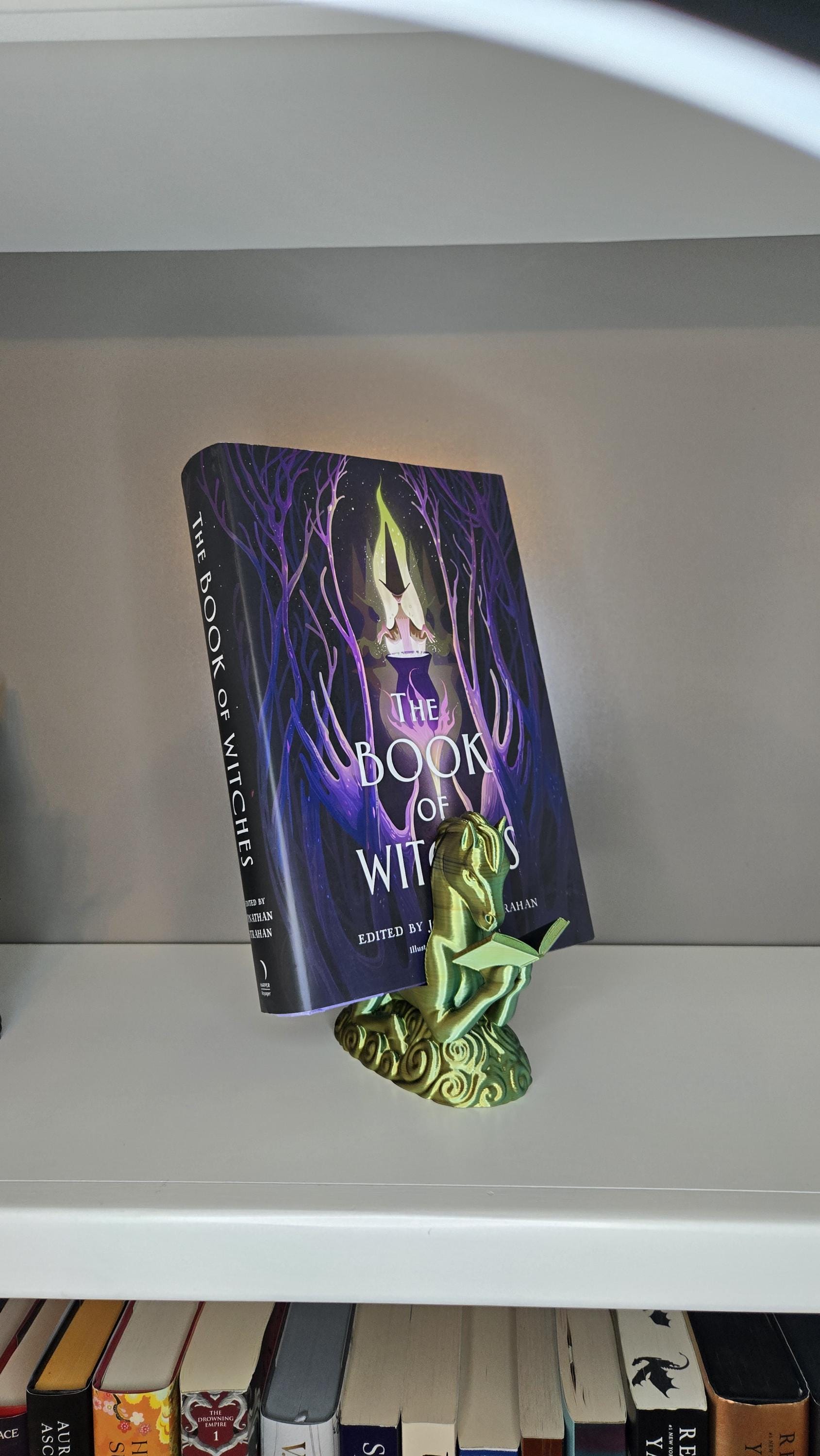 Pegasus Reading book or tablet display