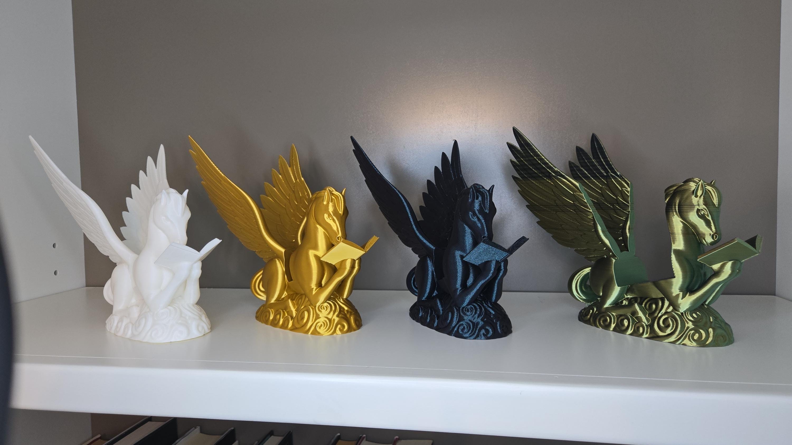 Pegasus Reading book or tablet display