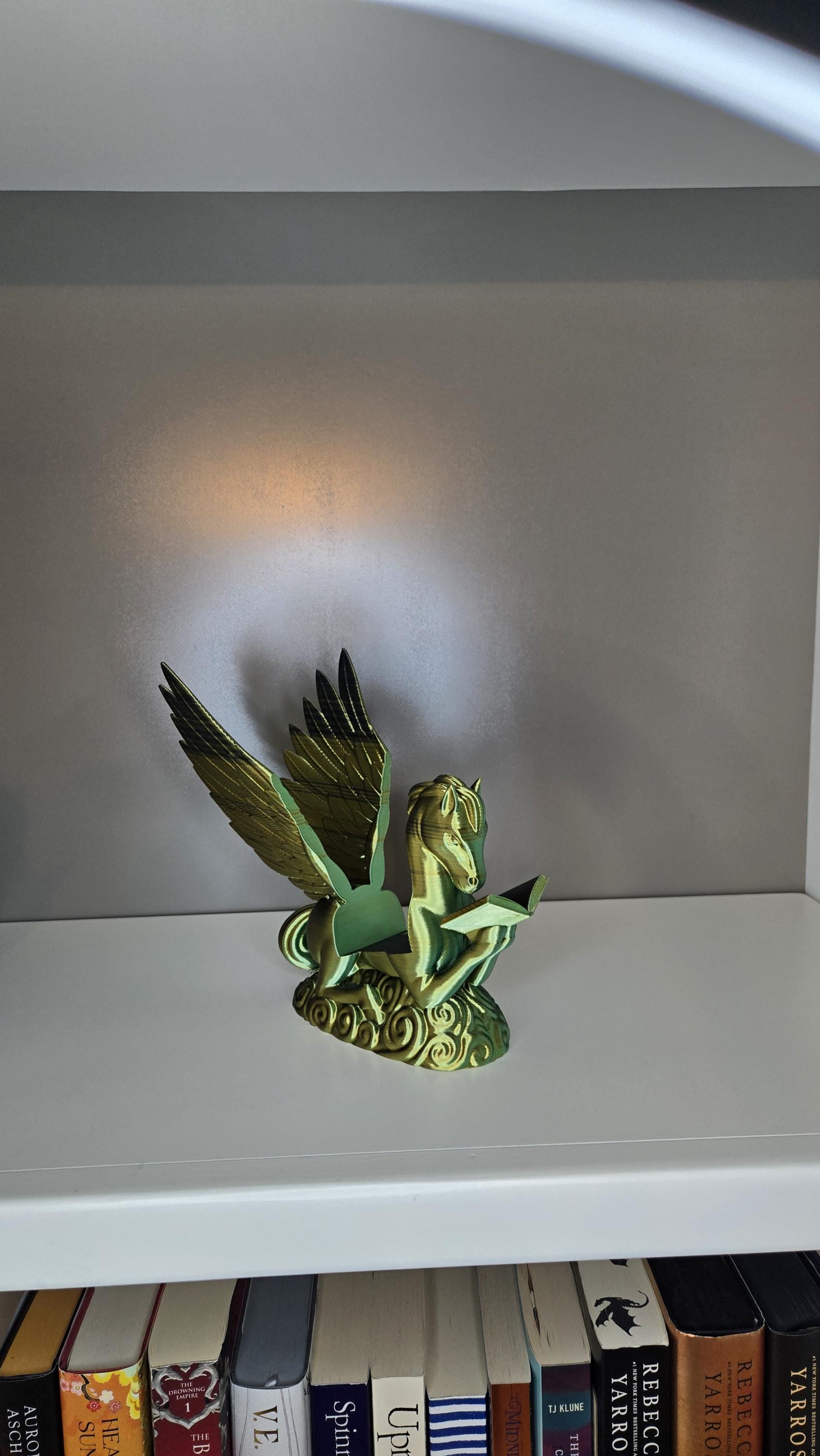 Pegasus Reading book or tablet display