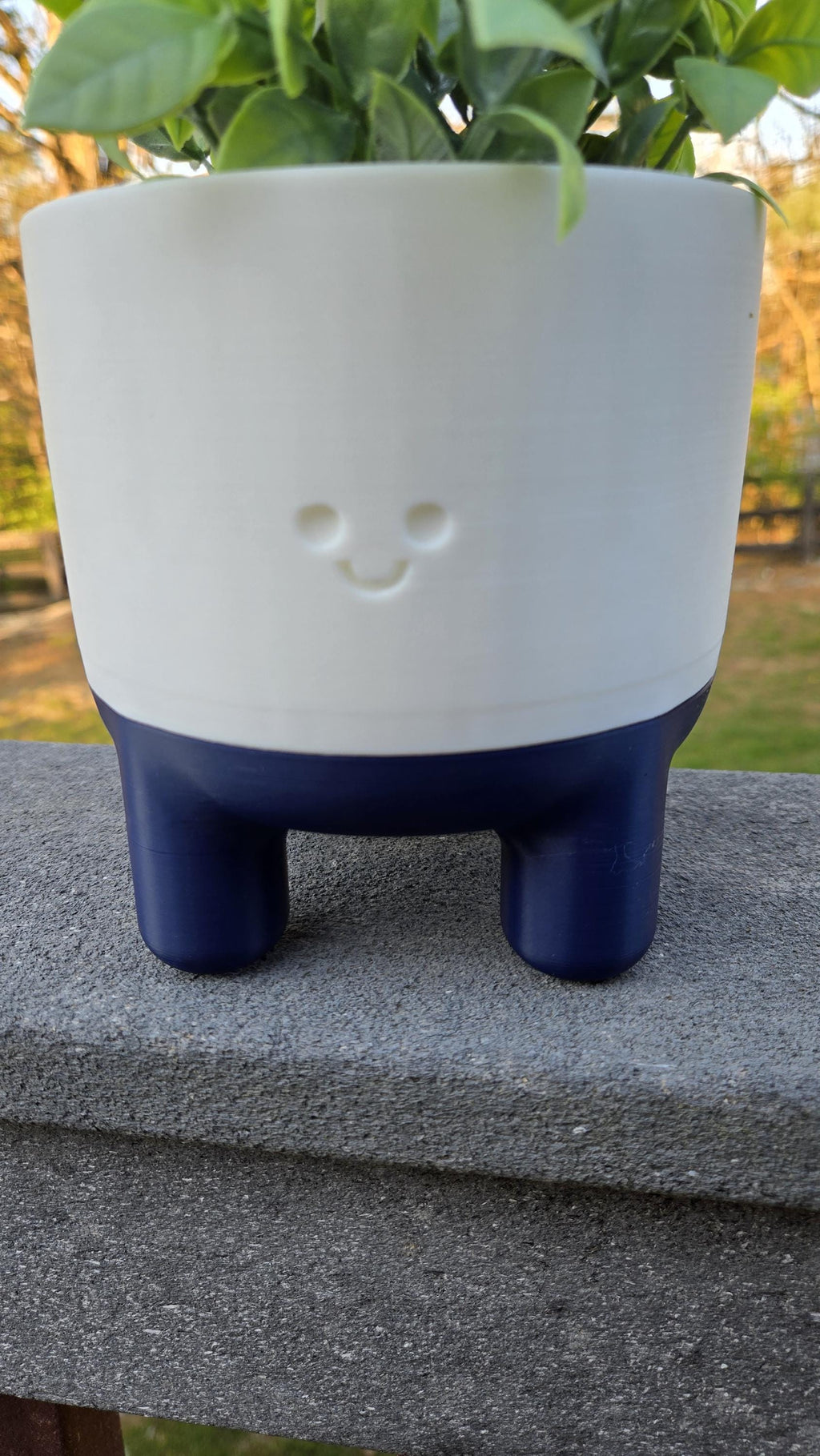 Happy "Melo" Planter with drainage