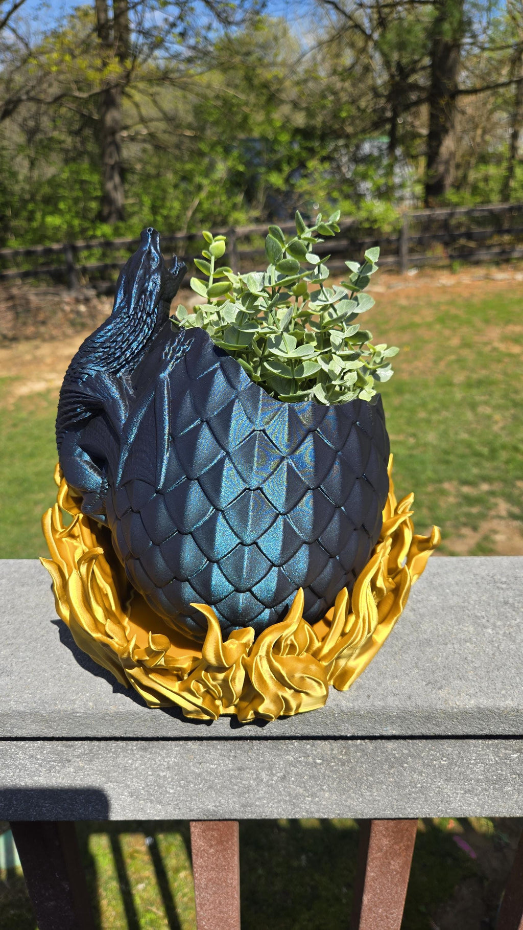 Dragon Hatching in Fire Planter with Drainage holes and watering hole