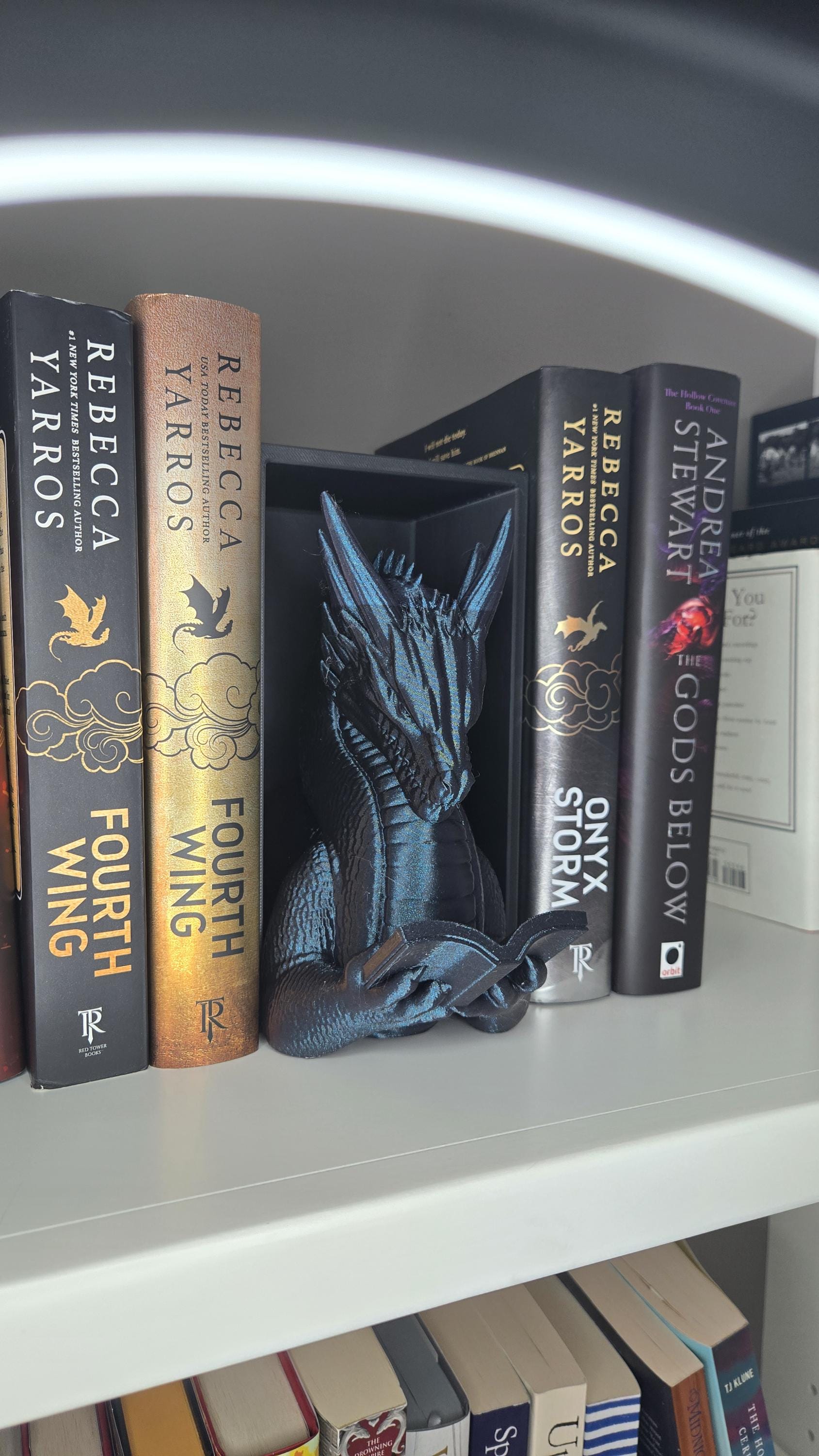 Dragon Reading Book Nook