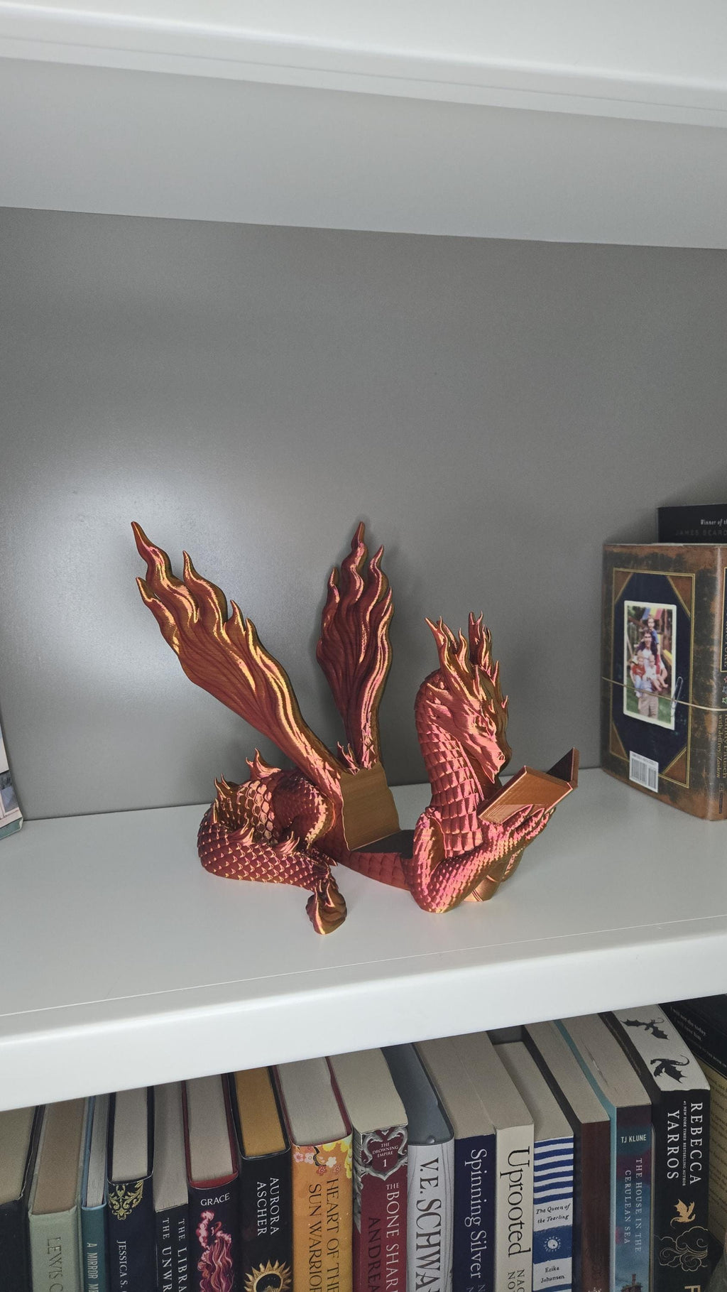 Flamewing Dragon Book Display