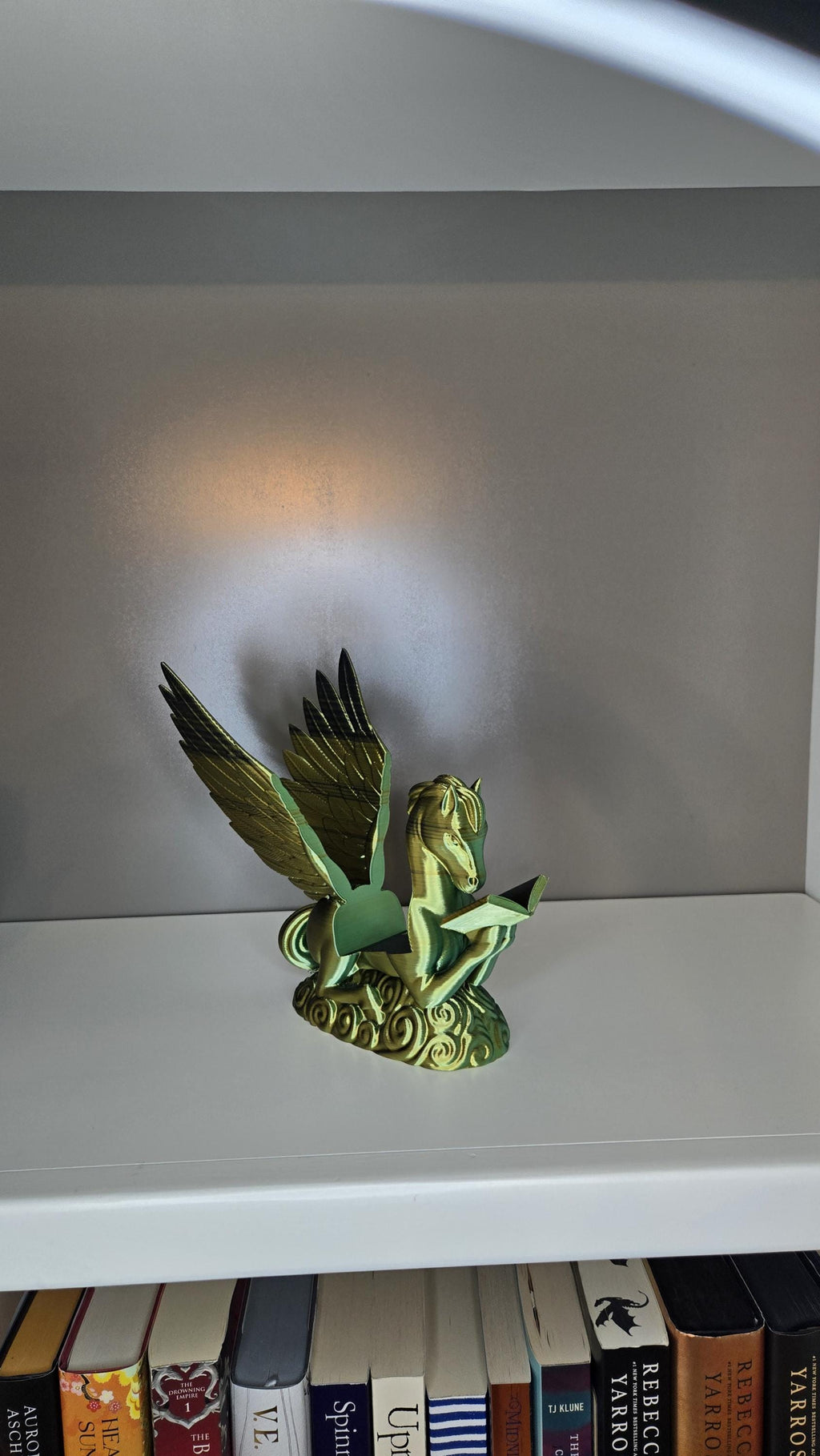 Pegasus Reading book or tablet display