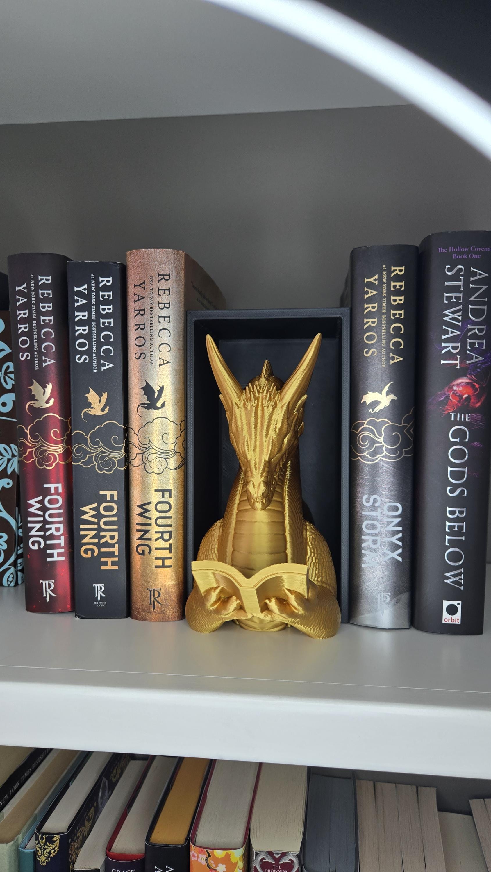Dragon Reading Book Nook