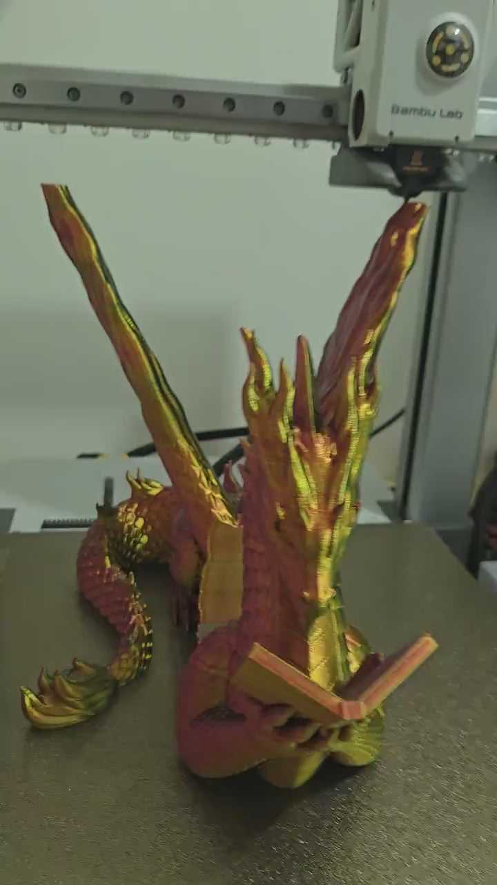 Flamewing Dragon Book Display